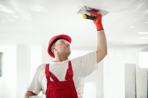 Best Drywall Removal and Disposal  in La Grange Park, IL